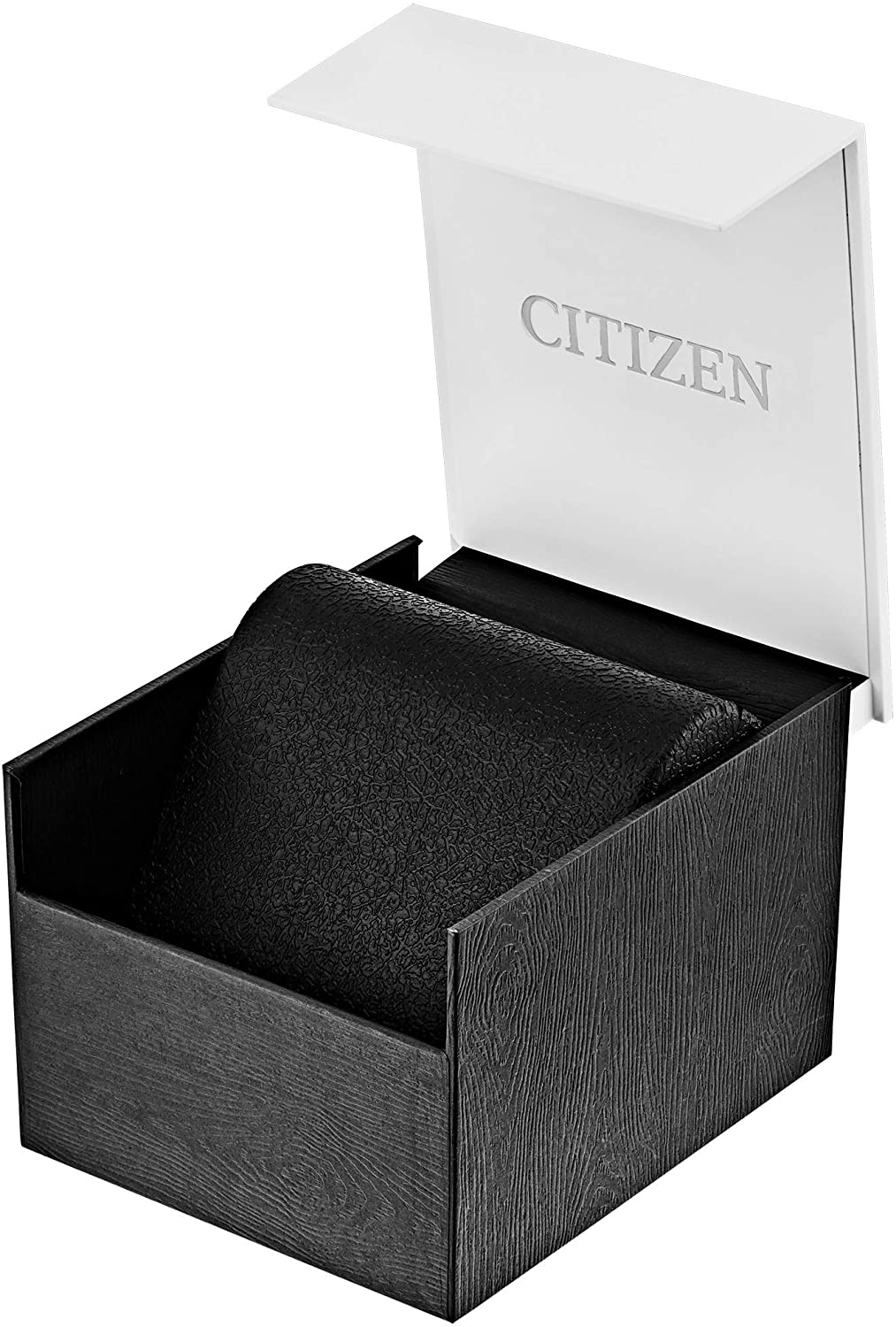 Citizen Men's Eco-Drive Watch CA0621-05L