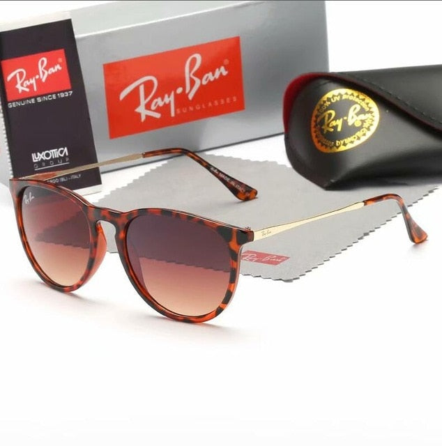 Rayban Polarized Erika Sunglasses